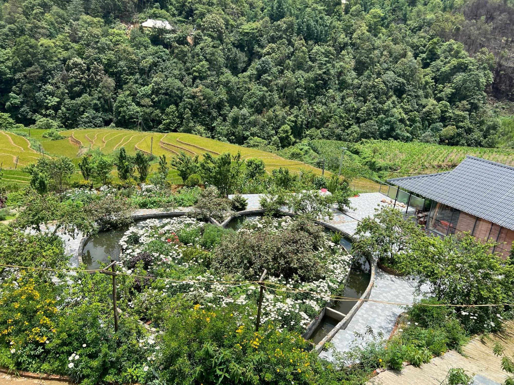 Chalet Sapawine *